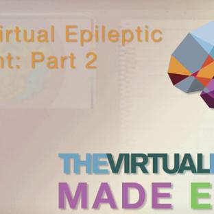 TVB Made Easy: The Virtual Epileptic Patient: Part 2