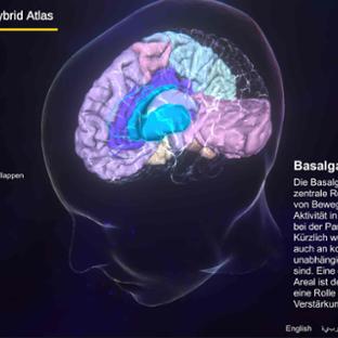 Brain Atlas App - Screenshot Deutsch version