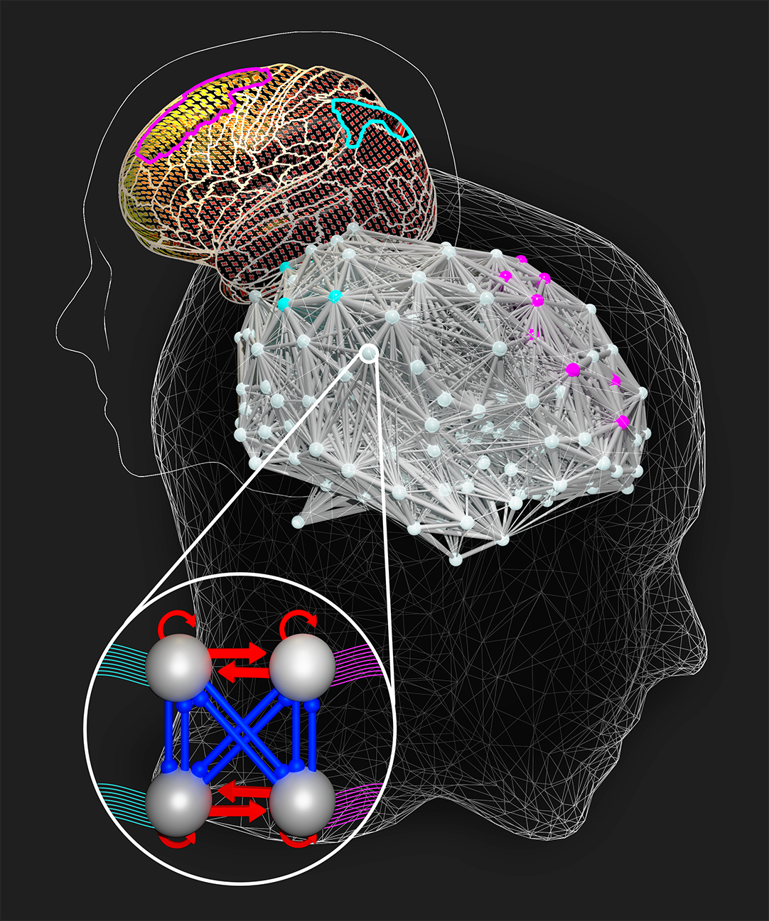 Illustration - Multimodal Brain - Cognition