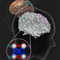 Illustration - Multimodal Brain - Cognition