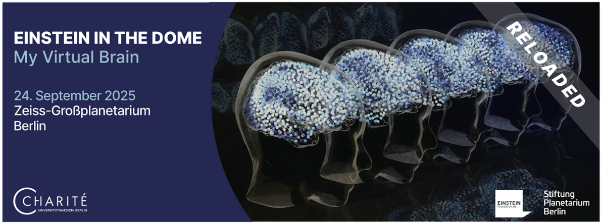 Einstein in the Dome - My Virtual Brain 2025