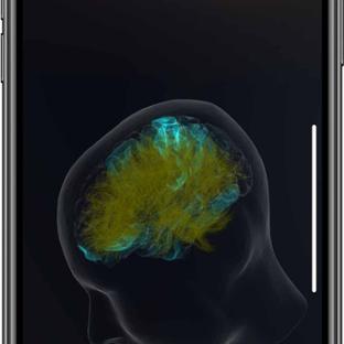 BM App - Featured Mobile - Brain Activity Visualization