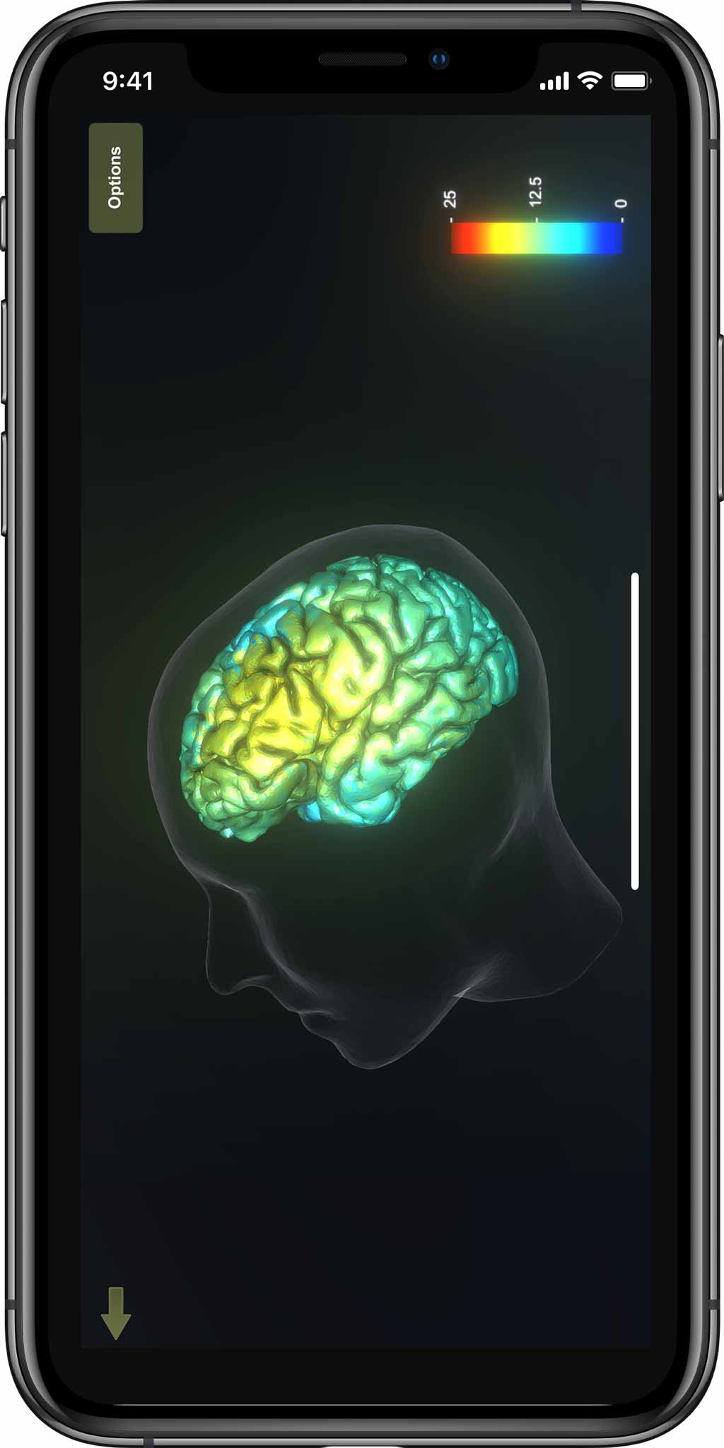 BM App - Featured Mobile - Brain Cortical Surface