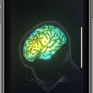 BM App - Featured Mobile - Brain Cortical Surface