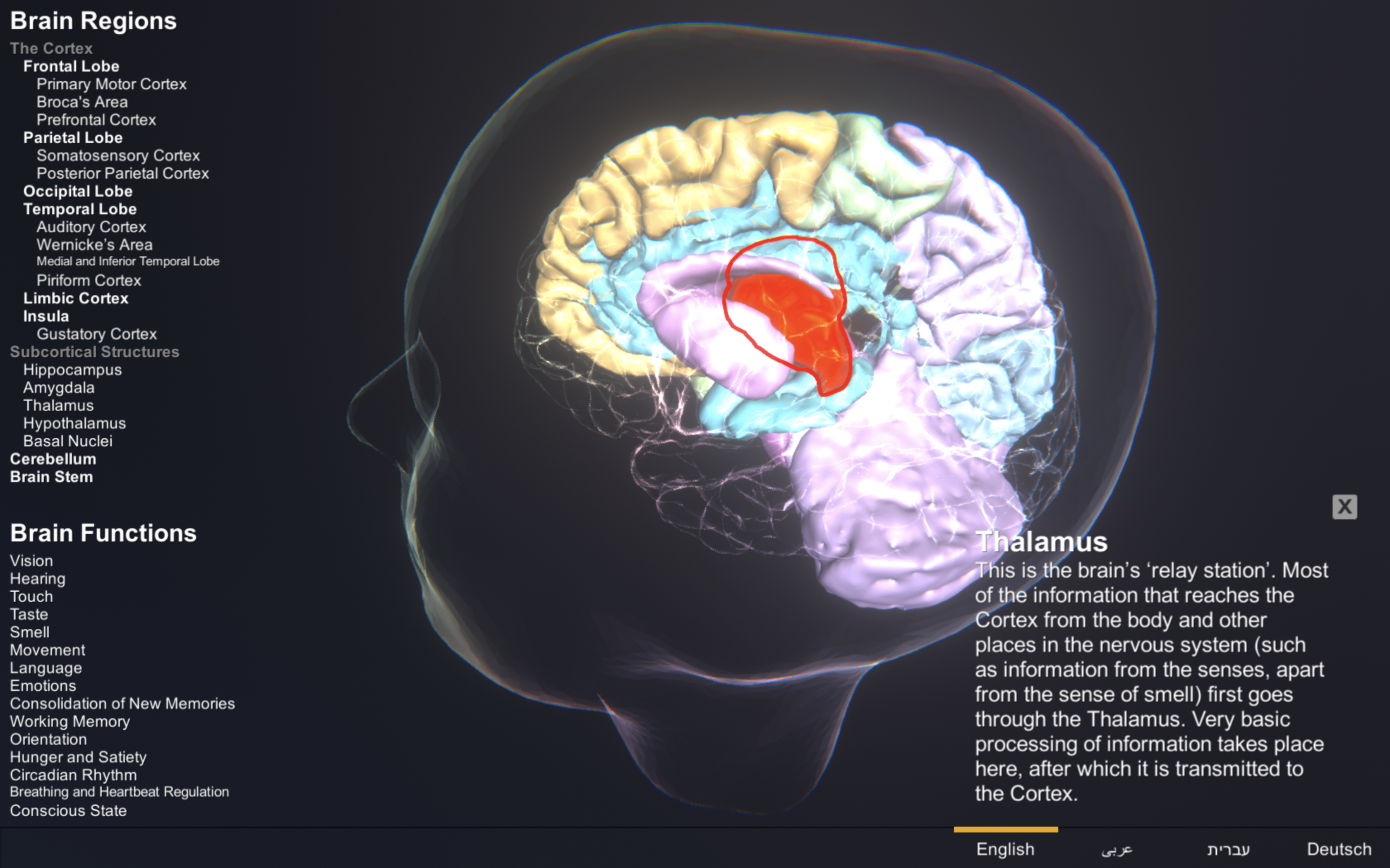 Brain Atlas App - Screenshot English version