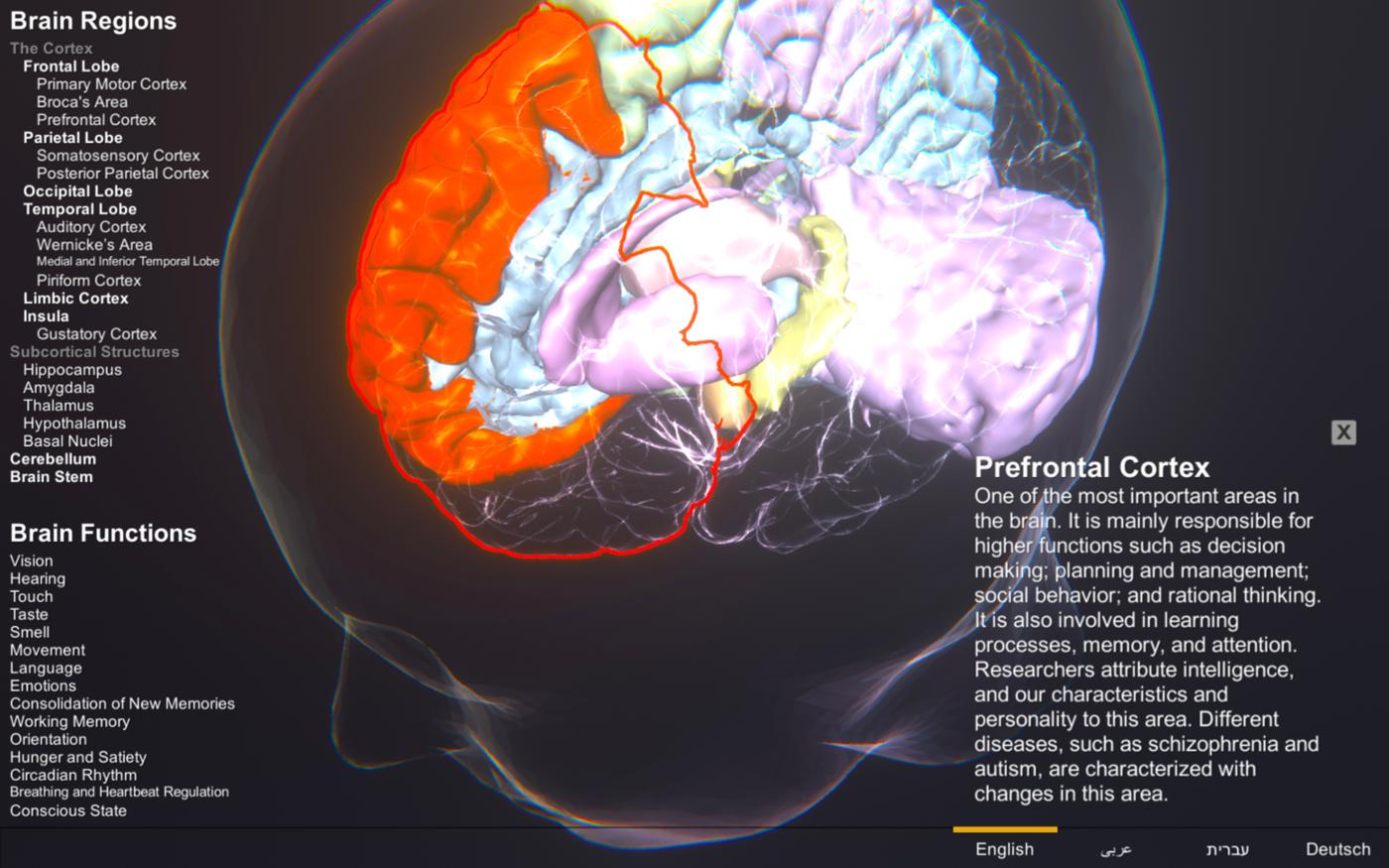 Short video of the Brain Atlas in use