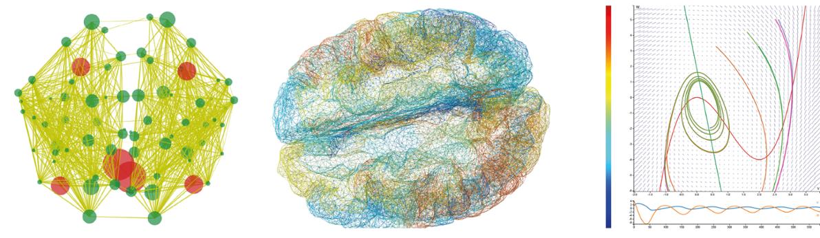 TVB-NEST multi-scale simulations 