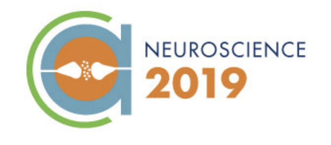 SfN2019 Logo