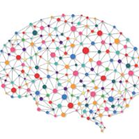brain-network-img