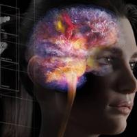 EBRAINS image