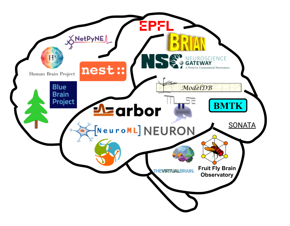 Brain With Logos CNS*2020