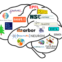 Brain With Logos CNS*2020