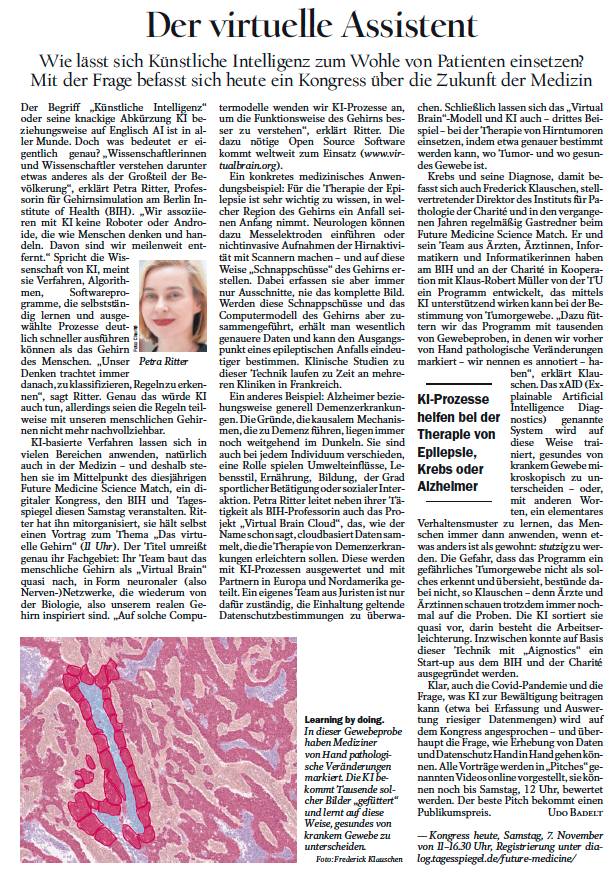 Tagesspiegel Article - Petra Ritter