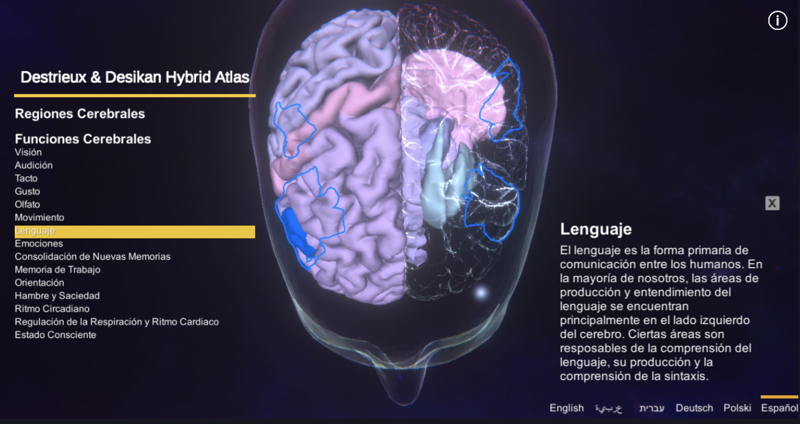 Spanish Brain Atlas