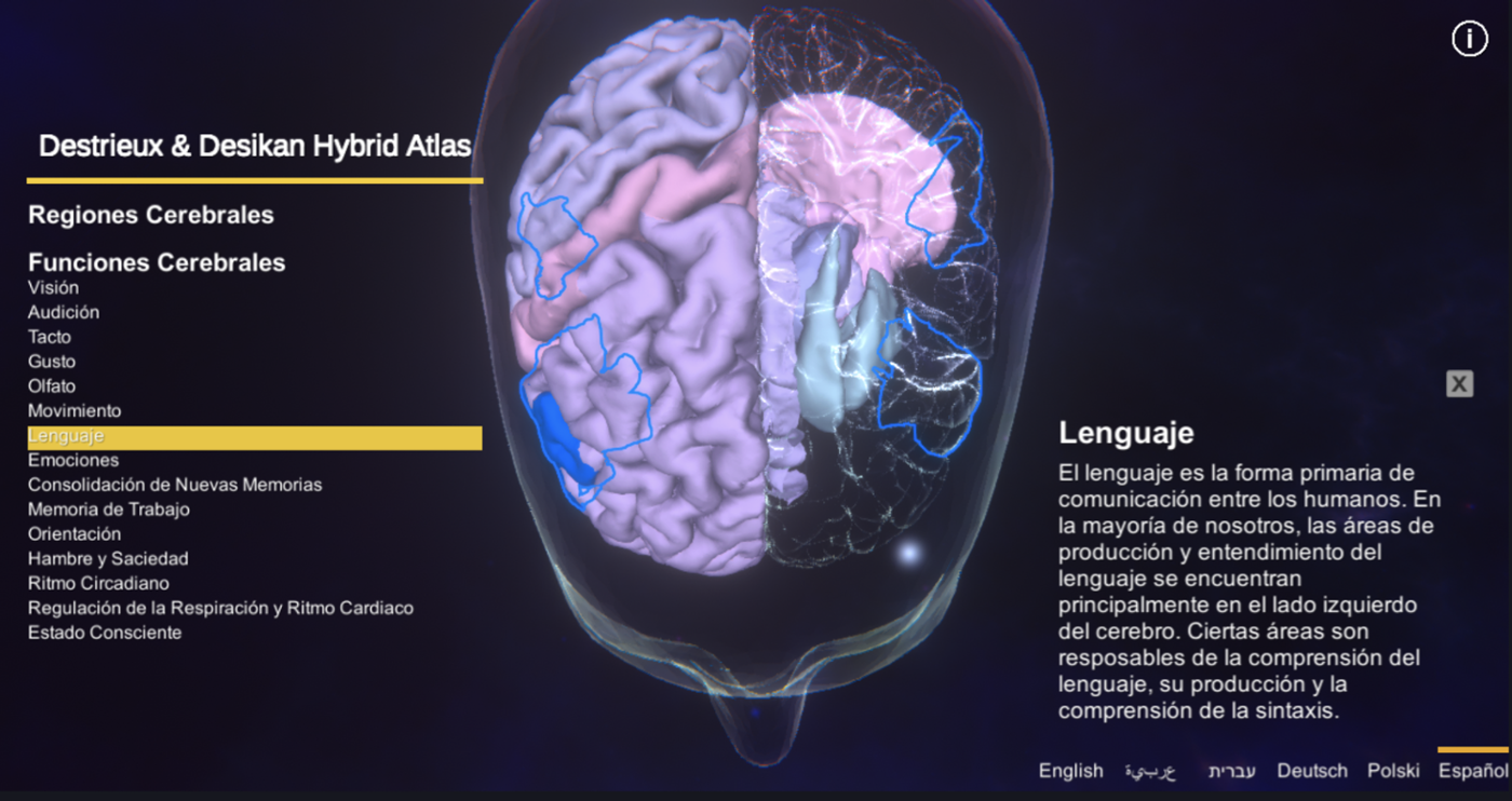 Brain Atlas App - Screenshot Spanish version