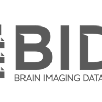 BIDS logo