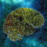 brain week image