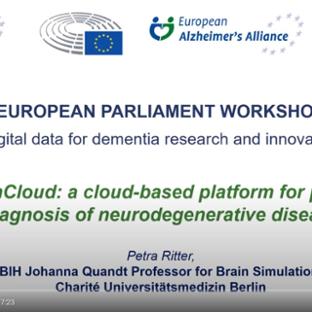 EU Parliament Workshop 2021 - screenshot Petra pres