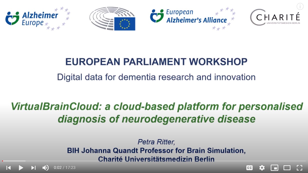 EU Parliament Workshop 2021 - screenshot Petra pres