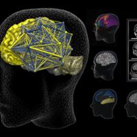 Illustration - Multimodal Brain - black back