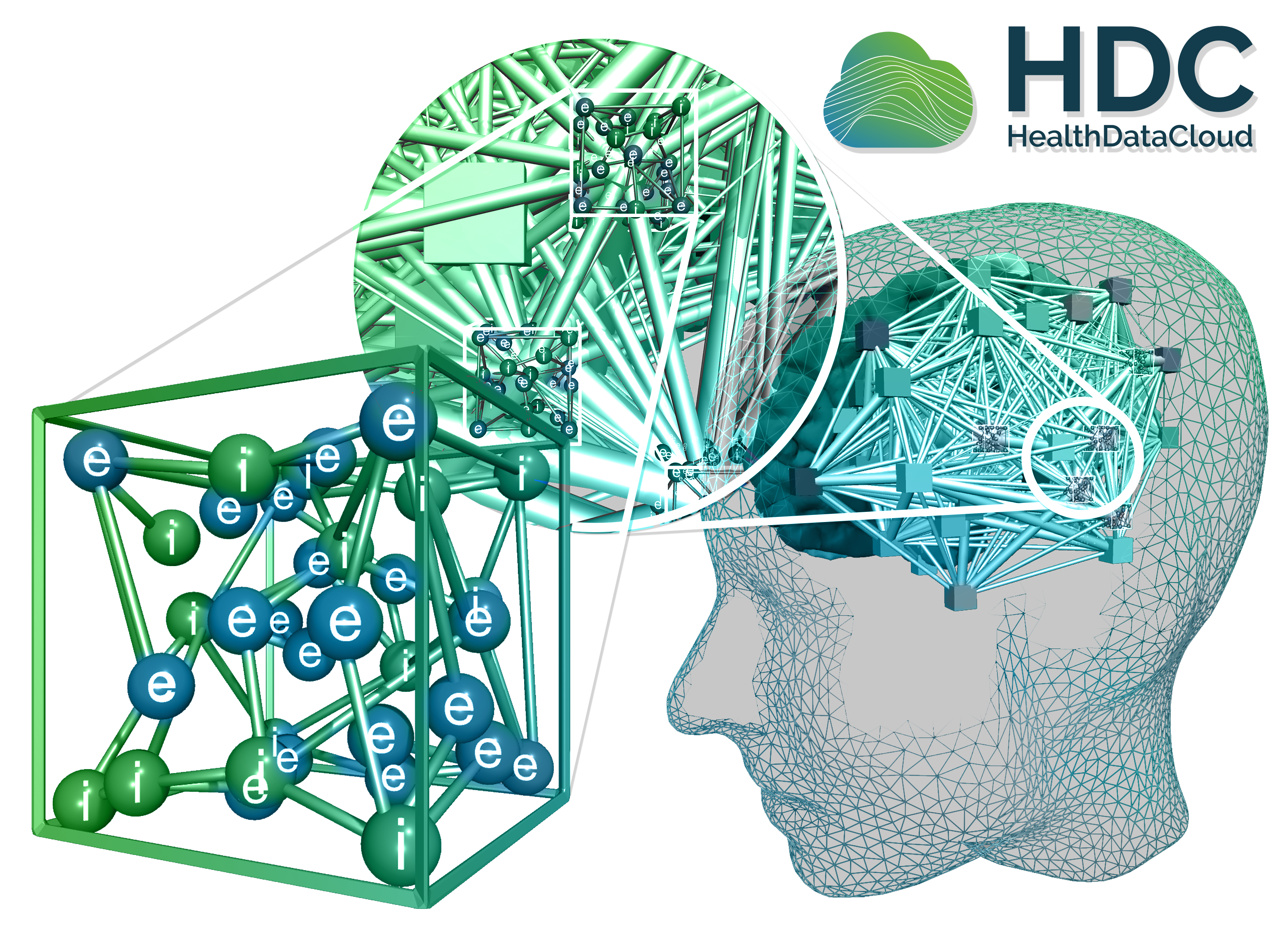 EBRAINS HDC - multiscale img