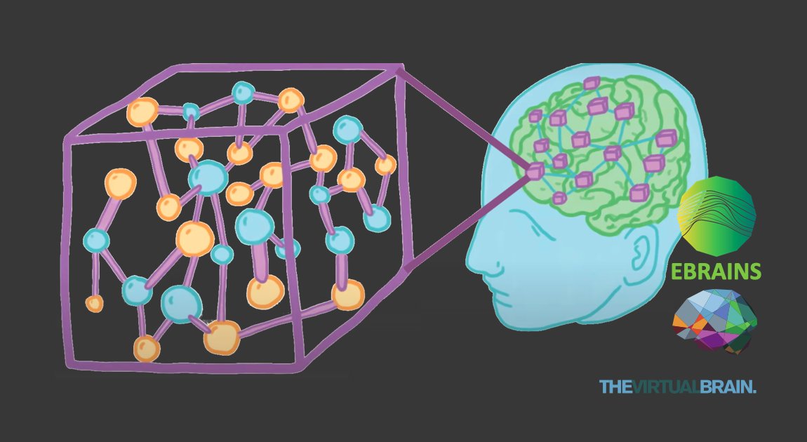 TVB-EBRAINS illustration brain net