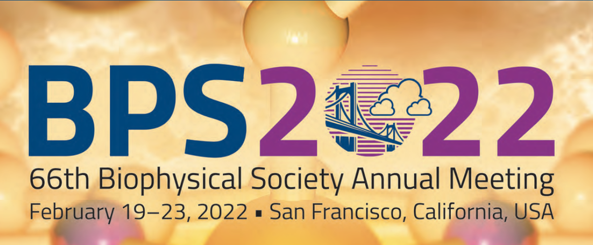 BPS2022 - Banner